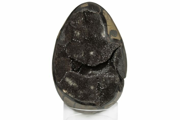 Septarian Dragon Egg Geode - Black Crystals #185630